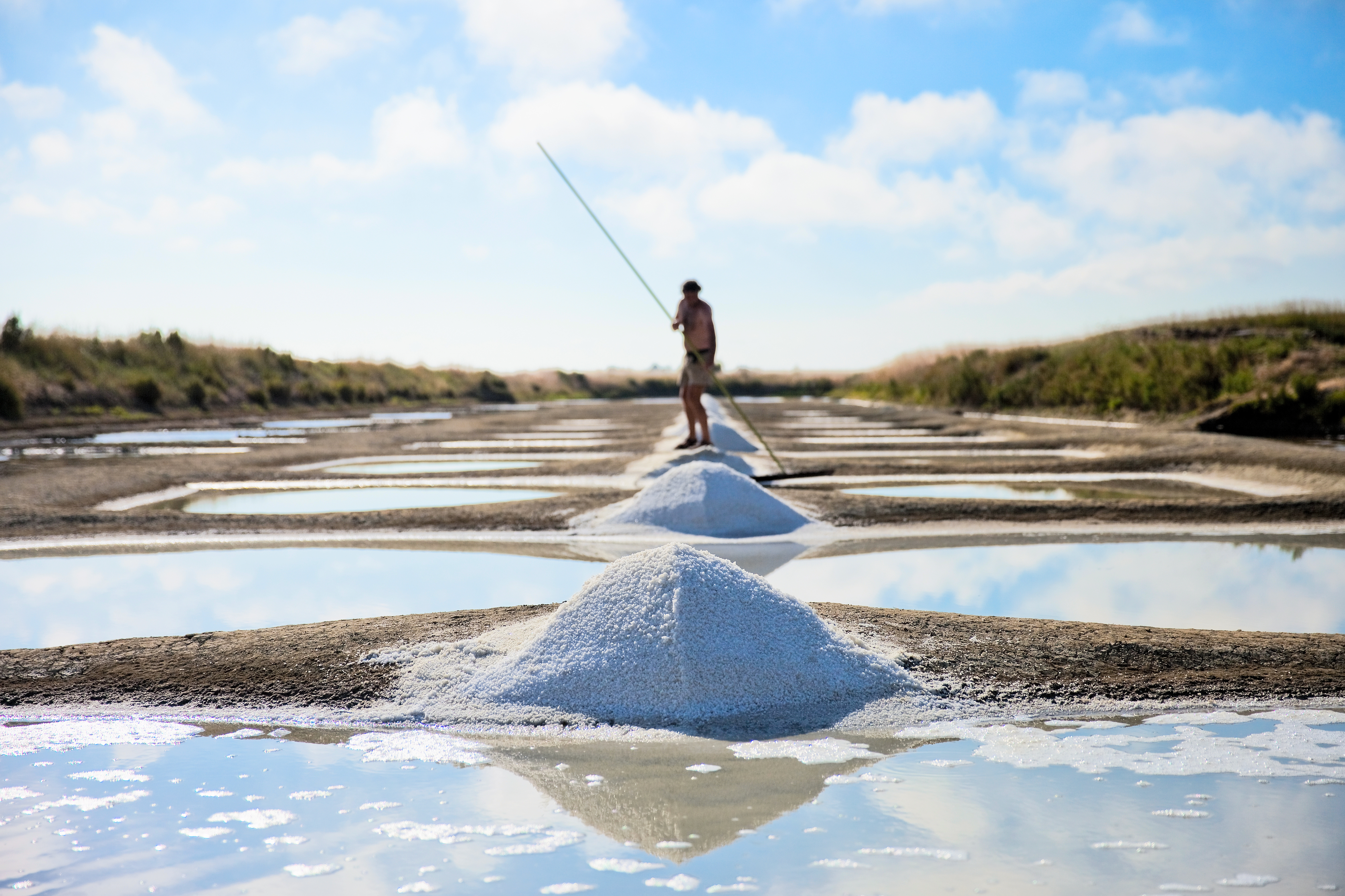 Marais salants des Salines