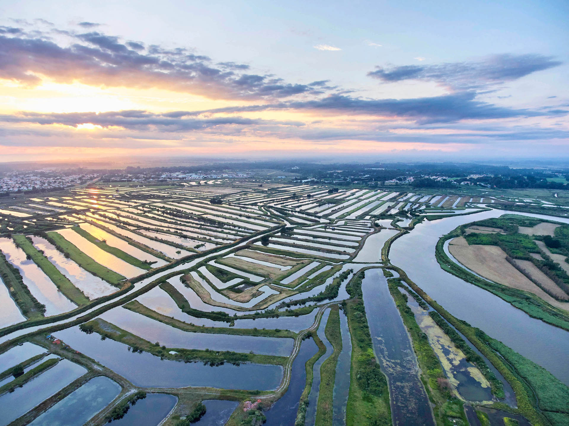 Marais doux et salés © OT Pays de Saint Gilles Croix de Vie